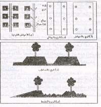 رى مزارع المانجو  1137403922