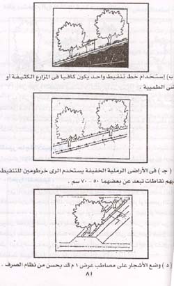 رى مزارع المانجو  1137403939