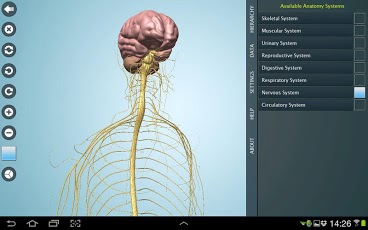 Gray’s Anatomy آناتومی بدن انسان 1570651_64912