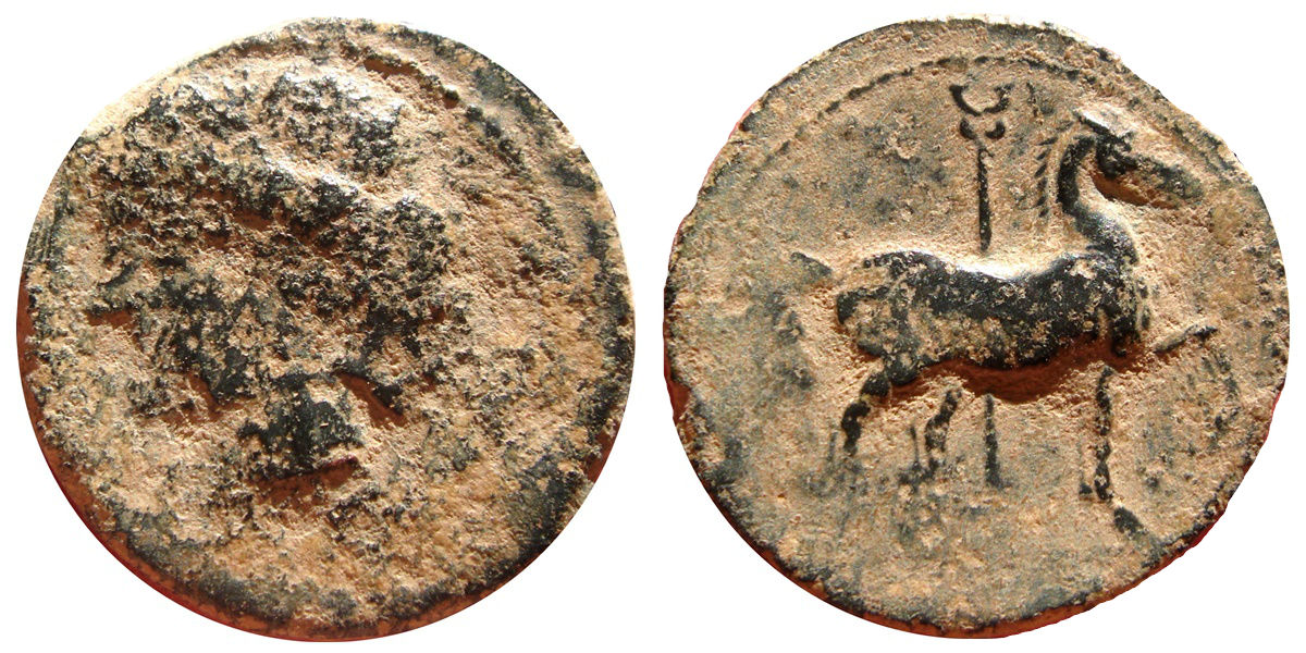 Bronce cartaginés -unidad- de Zeugitania (ca. 200-146 a.C.) Image
