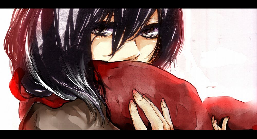 Mikasa Ackerman Mikasa.Ackerman.600.1496605