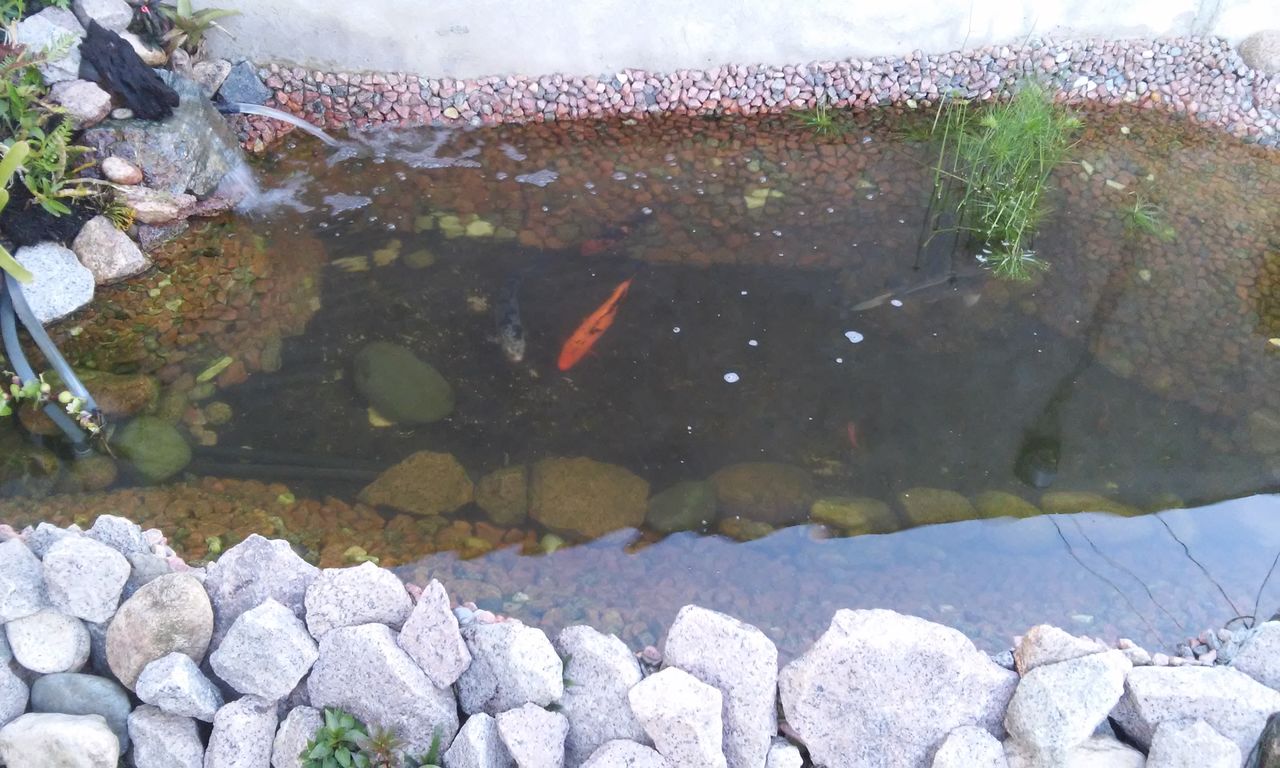 agua - Água Cristalina x Água Verde 20150202_194633