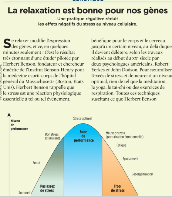 Les Mérites de la Méditation en islam: CERVEAUX PLUS JEUNES Image