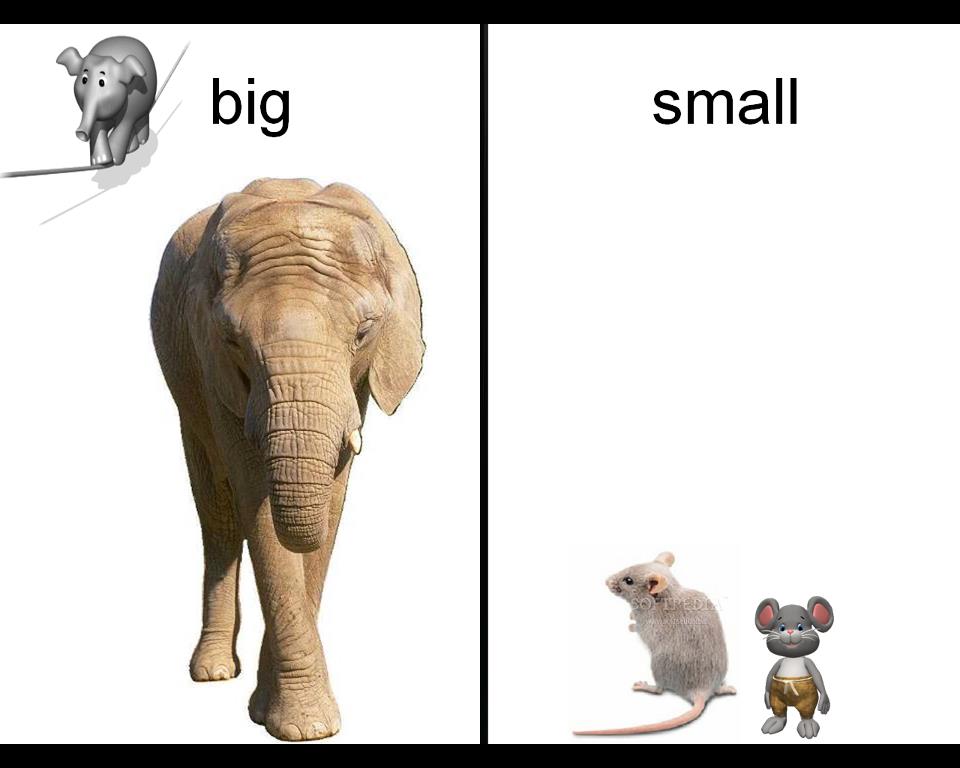 Words and their Opposites كلمات وعكسها Big_small