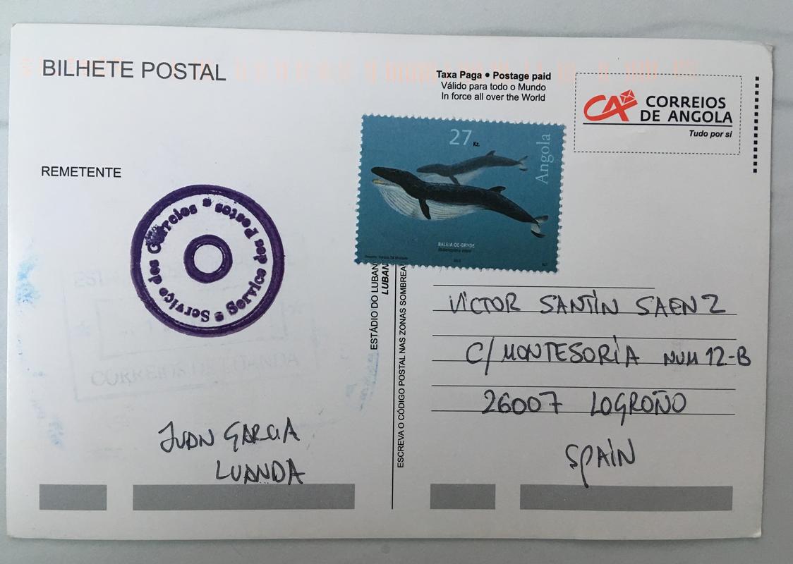 Postales desde Angola (Marzo 2018) - Página 2 IMG_8027