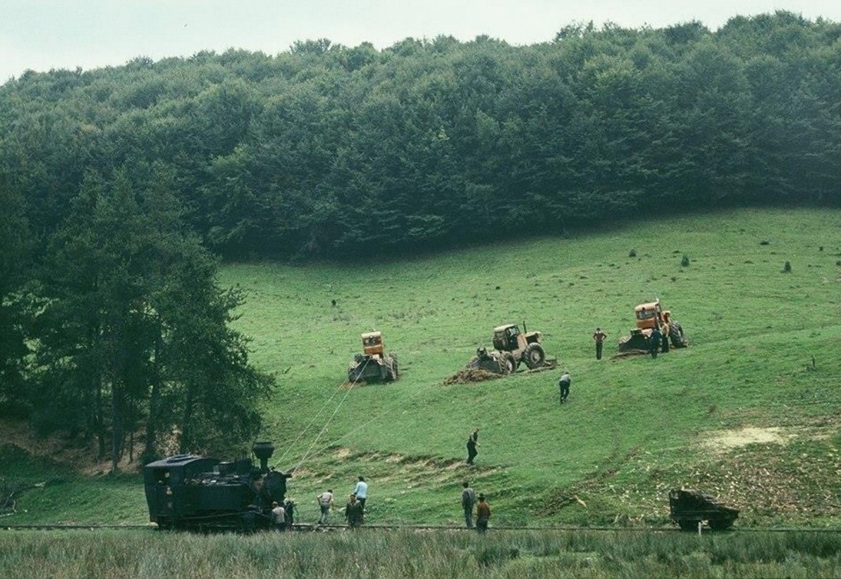 Mocăniţa de pe Valea Finişului, judeţul Bihor Image