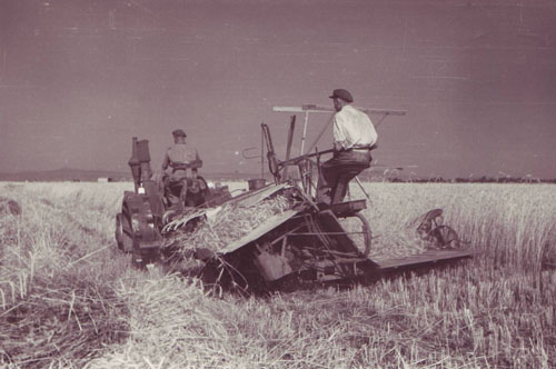 Tractores en fotos de época.  - Página 7 1950_RUMANIA