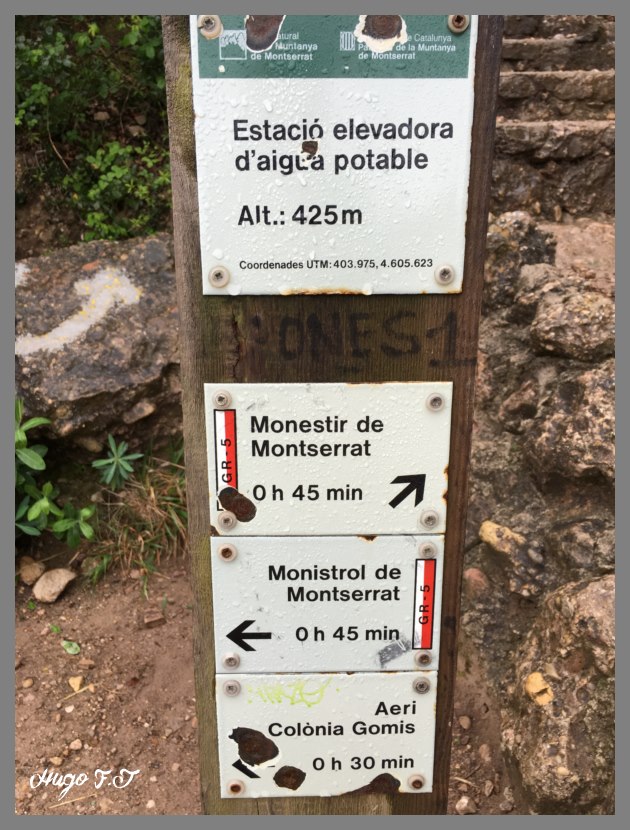 Montserrat 2016  IMG_1773_800x600