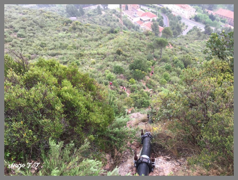 Montserrat 2016  IMG_1767_800x600