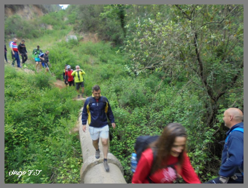 Montserrat 2016  DSC00745_800x600