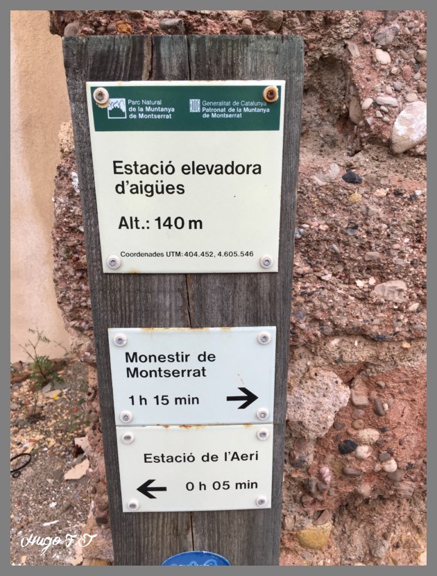 Montserrat 2016  IMG_1765_800x600