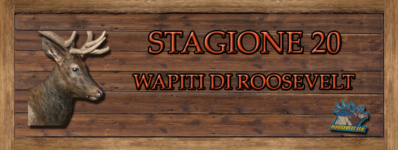 Wapiti di Roosevelt - ST. 20 WAPITI_DI_ROOSEVELT