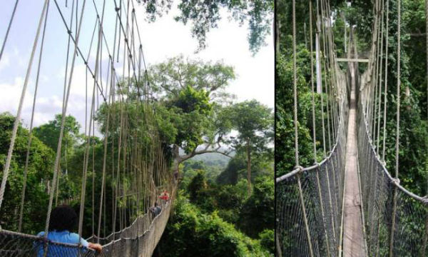 Puentes colgantes que te harán llorar de miedo Puentes_horribles2