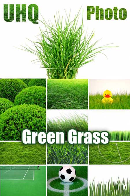 UHQ Photo - Green Grass 7ba550488521