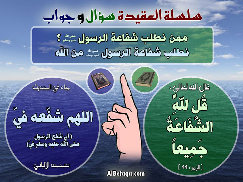 سلسلة العقيـــــــــــــــــــدة 31369fde191e