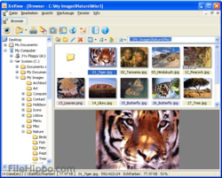 XnView 1.99.6 es un visualizador y capturador de imágenes mu 14455851_1