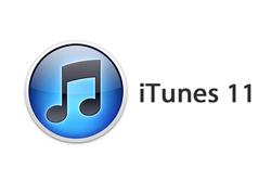 iTunes-11.1.1 (32-bit) 16773003_principal
