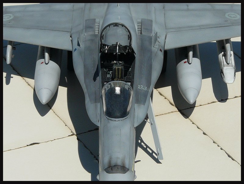 CF-188 A "Hornets Nest" die erste Rxatn7fx