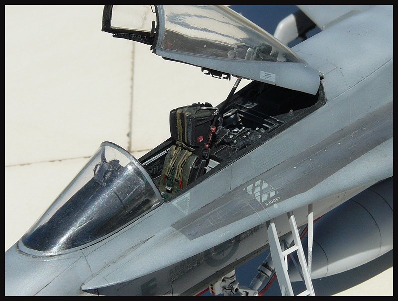 CF-188 A "Hornets Nest" die erste Z5kib4zg