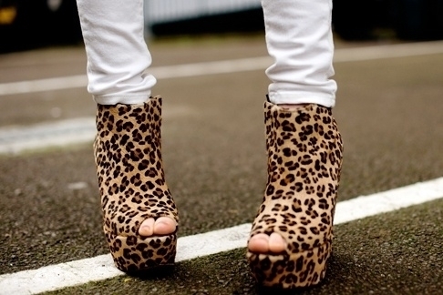 fashion shoes boots, high heels 2014 Cheetah-shoes-heels-fashion-girl-heels-Favim.com-487713