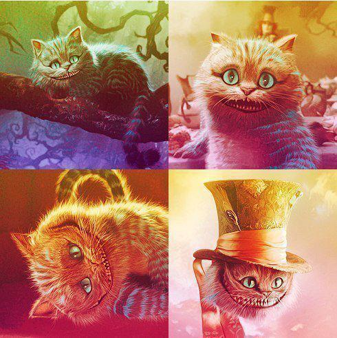 آڹآآآآآ e♏ - صفحة 3 Cat-colors-crazy-magic-Favim.com-779456