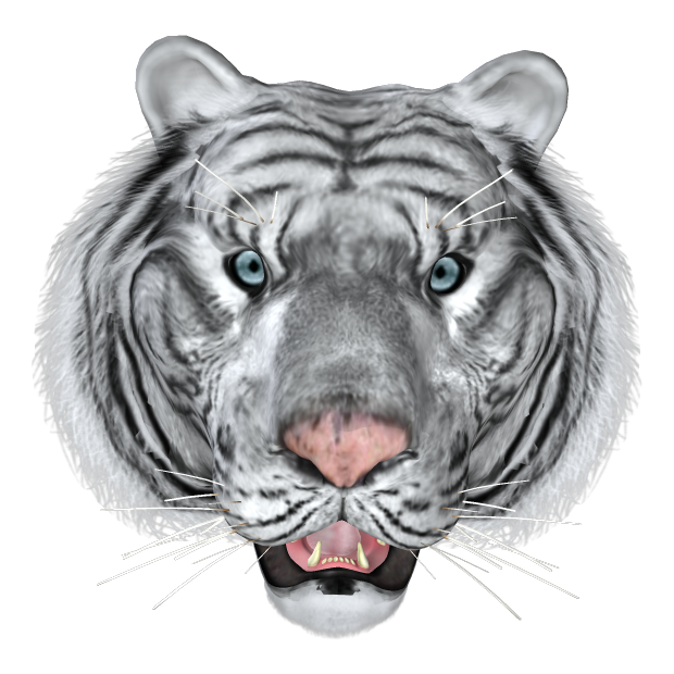 -----Animalitos----- - Página 2 White_Tiger_4_Belle_Graphics