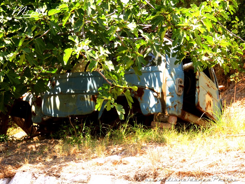 Auto Abbandonate - Pagina 38 Fiat_500_C_Giardinetta_Belvedere_1