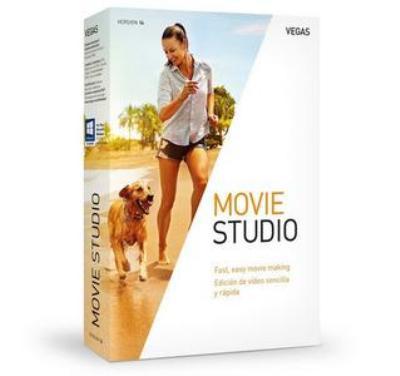 Magix Vegas Movie Studio 14.0.0.114 Multilingual Image