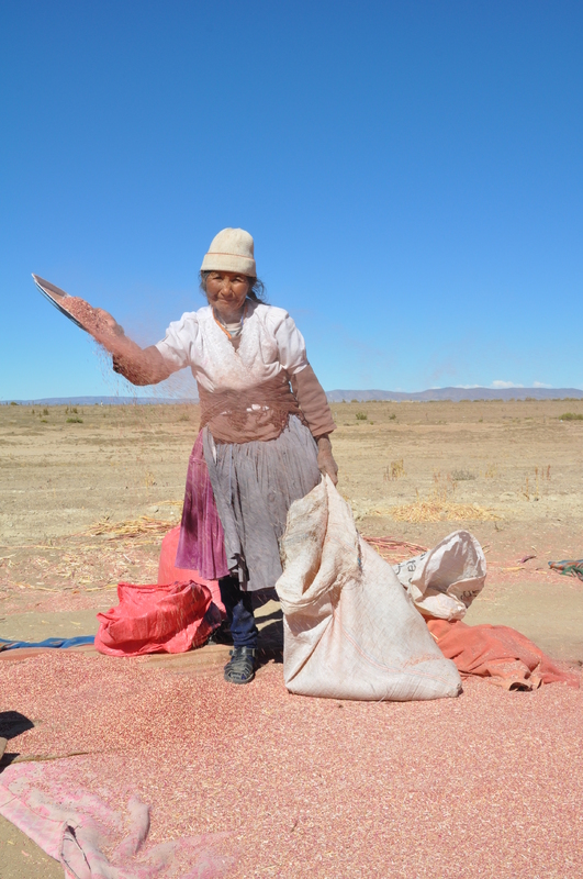 Nieves Eternas te invita a Atacama - Uyuni 2015 Traves