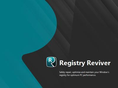ReviverSoft Registry Reviver 4.18.0.2 Multilingual Portable Image