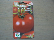 Keříčková rajčata P1030930