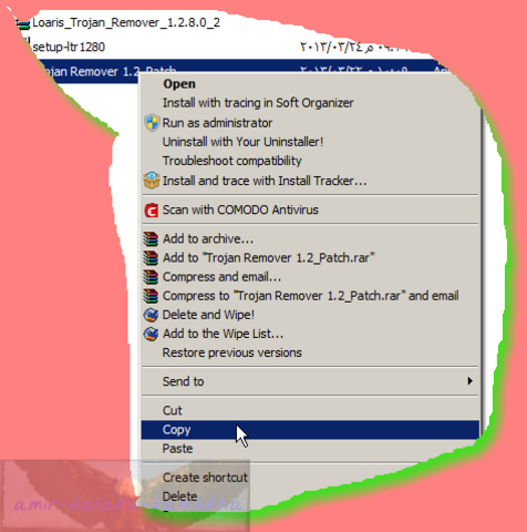 Loaris Trojan Remover Screenshot_2013_03_24_09_53_31