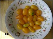 Sortiment cherry rajčat - Stránka 5 SAM_0041