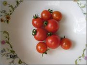 Sortiment cherry rajčat - Stránka 5 SAM_0039
