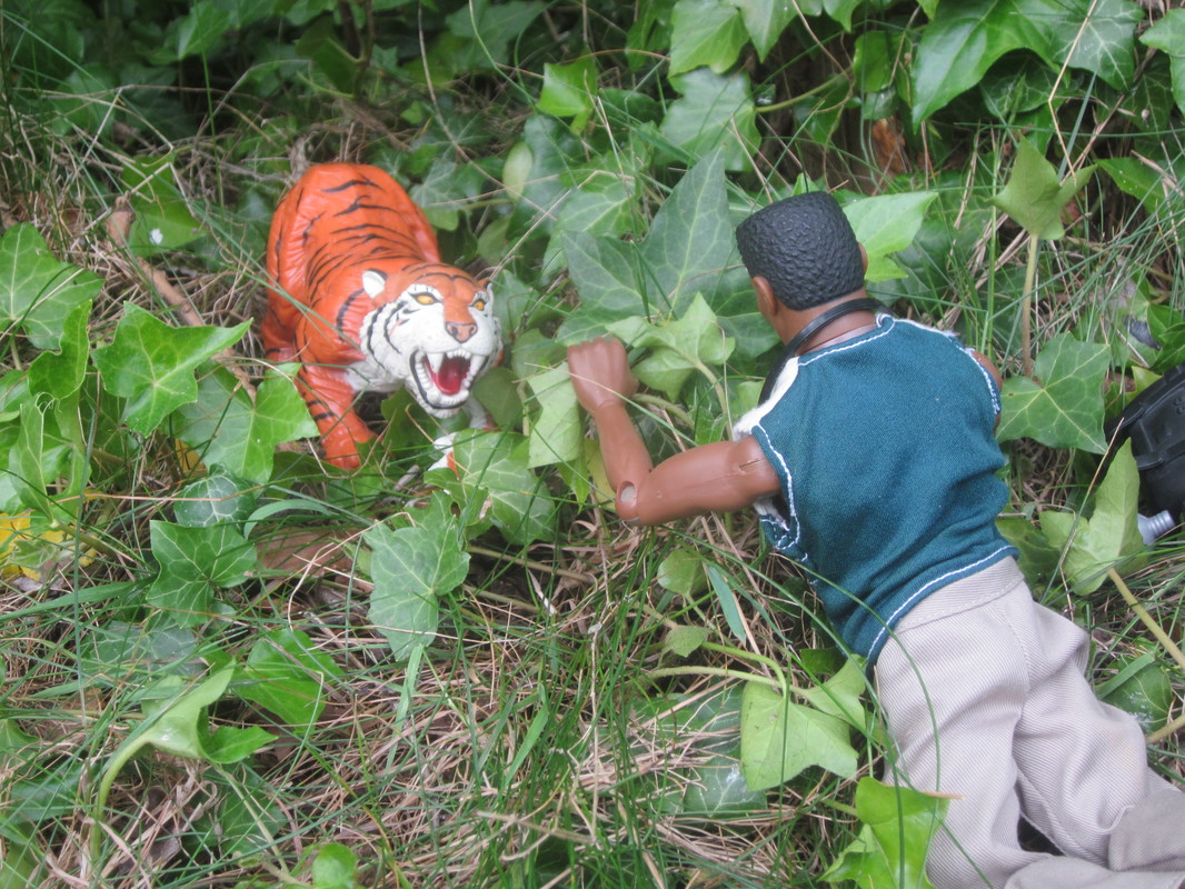 Hunting for the missing Tigers: part 2 IMG_5229