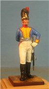 VID soldiers - Napoleonic Bayern army Af53e74a084dt