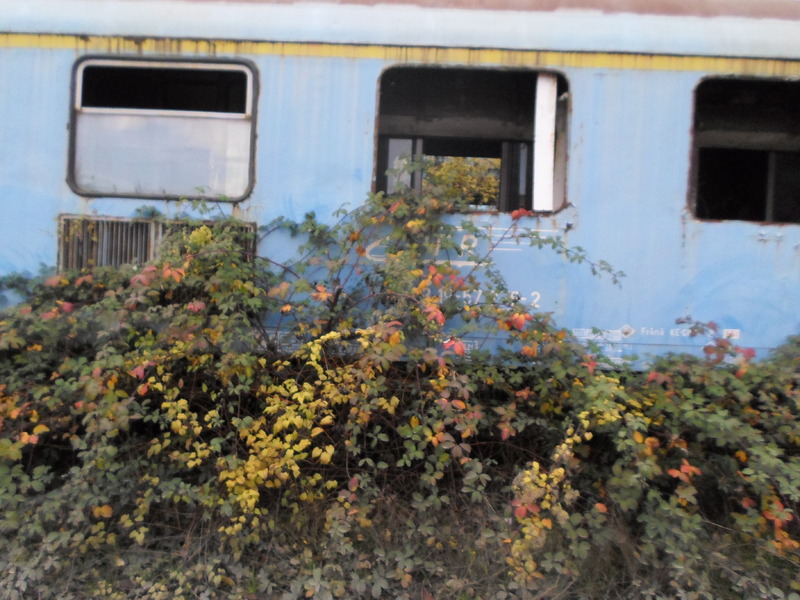 Vagoane Abandonate din remiza Basarab SAM_3195