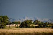 Otra gira por las Pampas Chatas DSC_0156