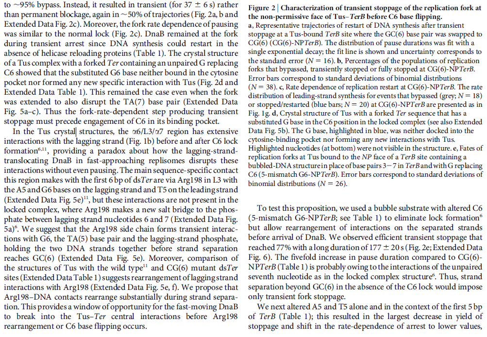 dna replication - DNA replication of prokaryotes - Page 2 Dna_replication_termination_nature_1234567