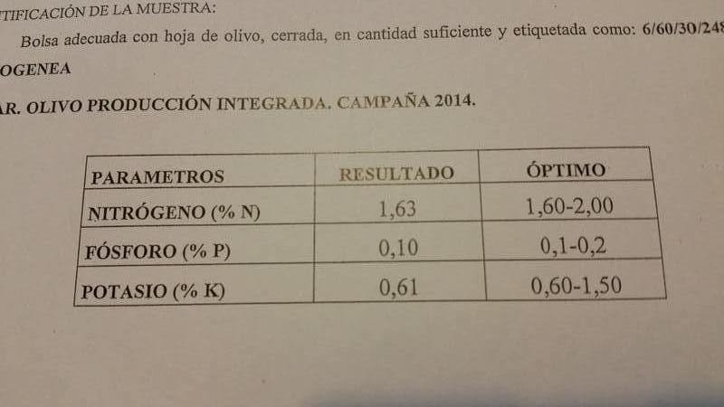 ¿Cómo asimila mejor el FÓSFORO el olivo? Analisis_hoja_2014