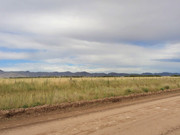 Otra gira por las Pampas Chatas DSC02347