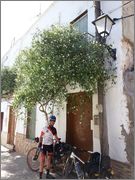 ASNOS VIAJEROS 2015 (Granada/Veleta/Cartagena) IMG_20150909_WA0109