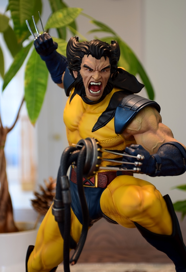 Premium Collectibles : Wolverine - Comics Version - Page 11 Image