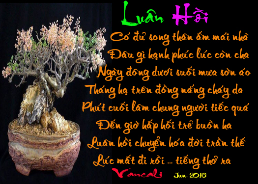 Thân chào quý huynh tỷ . lâu không gặp hì hì .... - Page 59 Luan_hoi