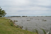 Otra gira por las Pampas Chatas DSC_0029