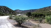 Un viaje al norte argentino y sur de Bolivia. - Página 4 Cotagaita21