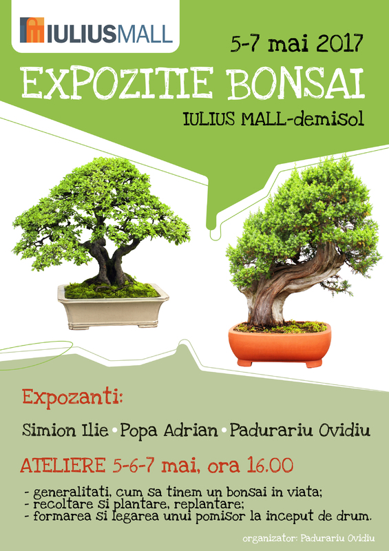 first exhibition dedicated to bonsai in Romania Afis_bonsai-01-01