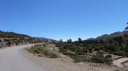 Un viaje al norte argentino y sur de Bolivia. - Página 3 Foto0195