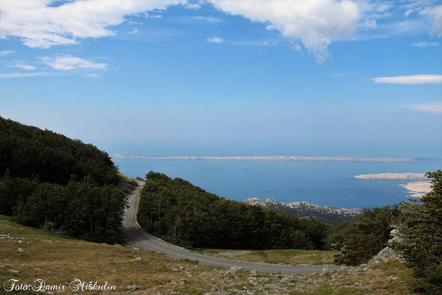 Velebit i njegovo primorje! (Sveta zemlja...) :) - Page 4 IMG_7817