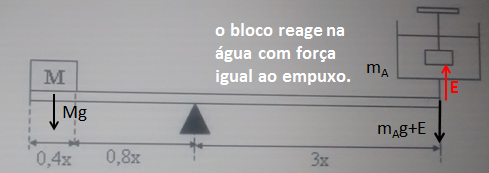 corpo em equilíbrio e a força de empuxo Gabarito